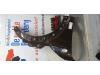MINI Clubman (R55) 1.4 16V One Front wing, right