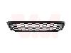 Bumper grille from a Volkswagen Polo 2012