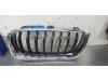BMW 3 serie Touring (F31) 320d 2.0 16V Grille