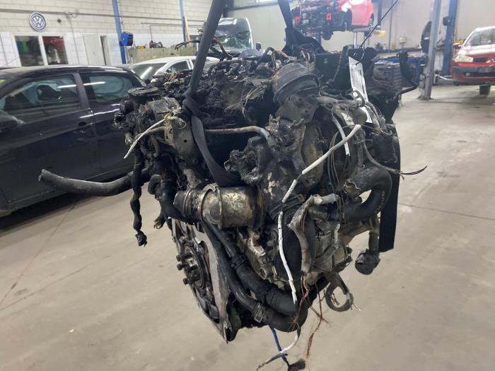 Usagé Moteur Volkswagen Golf VII (AUA) 2.0 GTD 16V Prix € 1.450,00 Règlement à la marge proposé par De Witte Boerderij AutoMotive