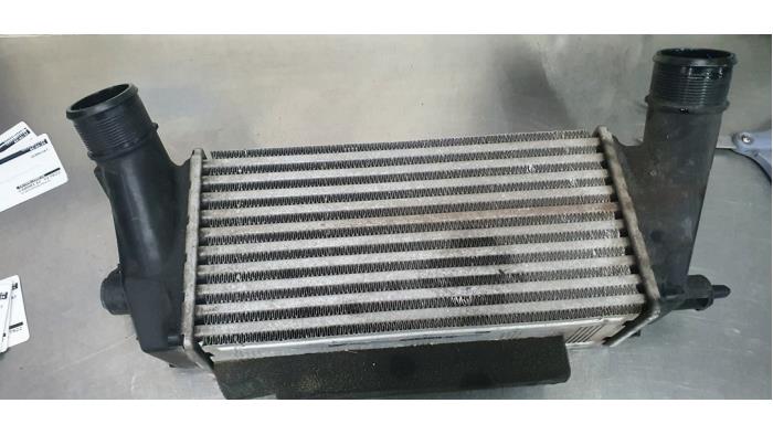 Usados Intercooler Ford EcoSport (JK8) 1.0 EcoBoost 12V 125 Precio € 35,00 Norma de margen ofrecido por De Witte Boerderij AutoMotive