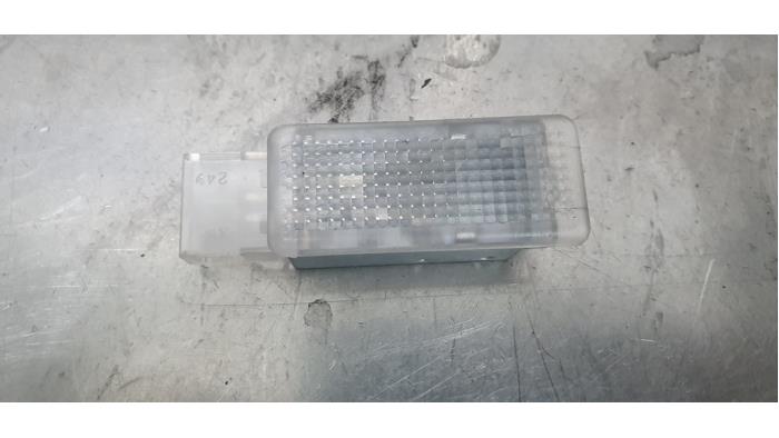 Door interior light