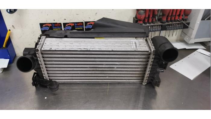 Usados Intercooler Ford Focus 3 1.0 Ti-VCT EcoBoost 12V 125 Precio € 45,00 Norma de margen ofrecido por De Witte Boerderij AutoMotive