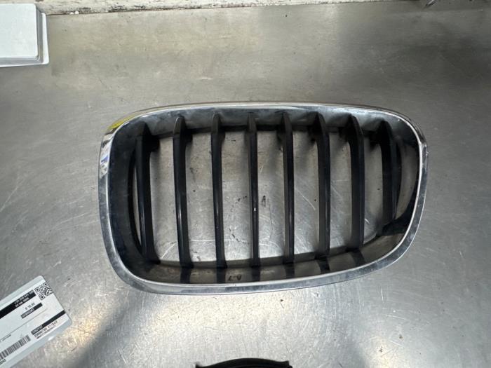 Begagnade Grill BMW 1 serie (F20) 114i 1.6 16V Pris € 15,00 Marginaltabell erbjuds av De Witte Boerderij AutoMotive