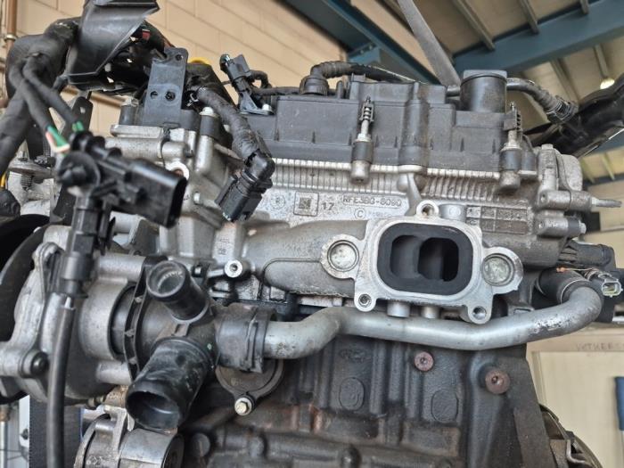 Usados Culata Ford Fiesta 7 1.1 Ti-VCT 12V 70 Precio € 450,00 Norma de margen ofrecido por De Witte Boerderij AutoMotive