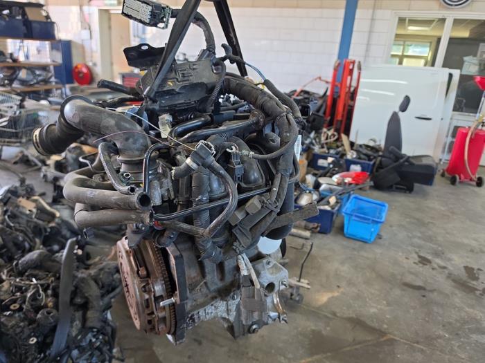 Gebrauchte Motor Ford Fiesta 6 (JA8) 1.0 SCI 12V 80 Preis € 1.250,00 Margenregelung angeboten von De Witte Boerderij AutoMotive