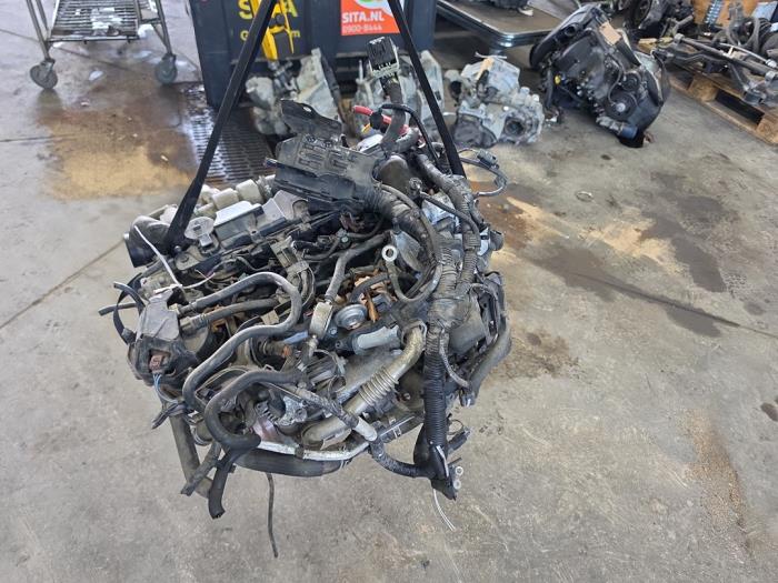 Used Engine Ford Fiesta 6 (JA8) 1.5 TDCi Price € 950,00 Margin scheme offered by De Witte Boerderij AutoMotive