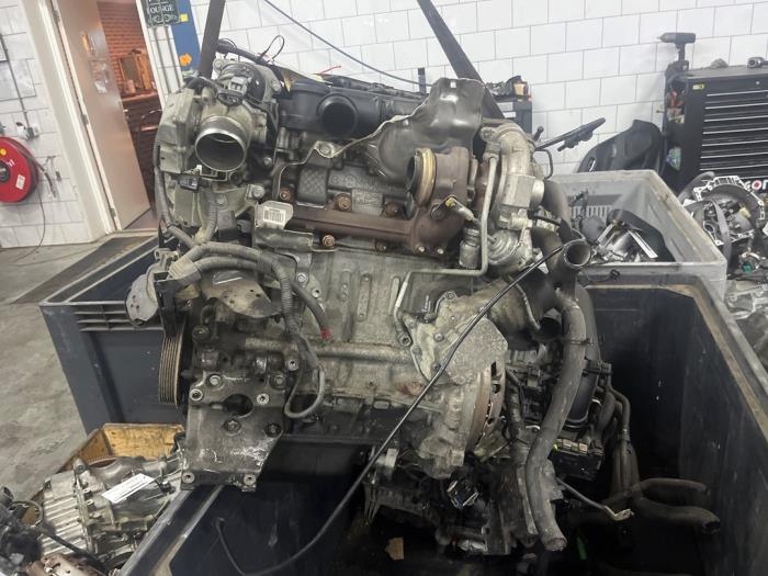 Used Engine Ford Fiesta Price € 500,00 Margin scheme offered by De Witte Boerderij AutoMotive