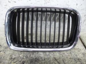 New Grille BMW 3-Serie Price € 15,13 Inclusive VAT offered by De Witte Boerderij B.V.