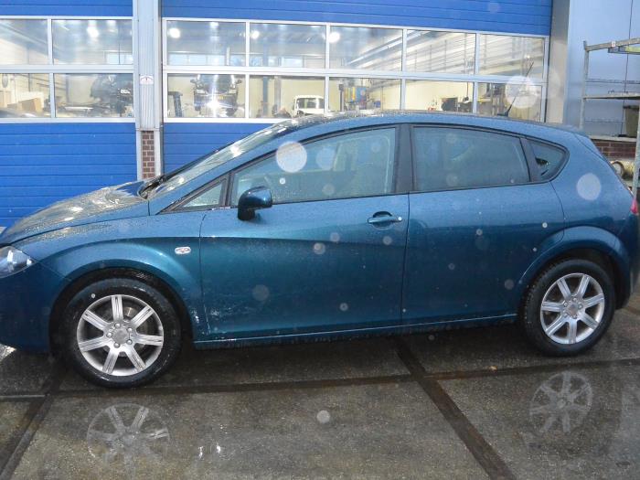 Rear door 4-door, left from a Seat Leon (1P1) 1.9 TDI 105 2006