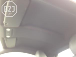 Gebrauchte Dachverkleidung Audi TT (8J3) 1.8 TFSI 16V Preis auf Anfrage angeboten von BZJ b.v.
