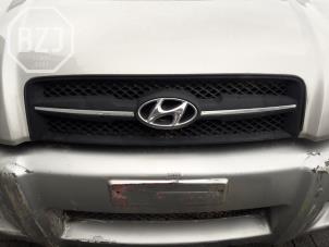 Used Grille Hyundai Tucson (JM) 2.0 CRDi 16V 4x4 Price on request offered by BZJ b.v.