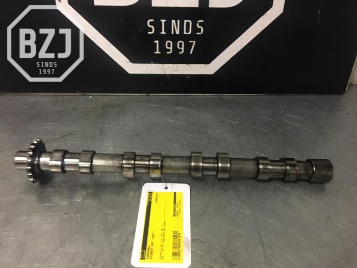 Camshaft from a Peugeot 807 2.0 HDi 16V 120 2007