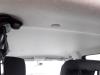 Revêtement plafond d'un Dacia Sandero II, 2012 1.2 16V, Berline avec hayon arrière, Essence, 1.149cc, 54kW (73pk), FWD, D4F732; D4FF7, 2015-05 / 2017-02, 5SDE3; 5SDM3 2016