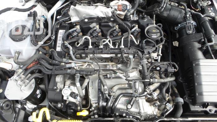 Engine Volkswagen Polo VI 1.6 TDI 16V 80 - 04L100038K DGTC