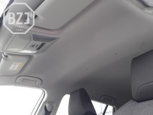Usagé Revêtement plafond Toyota RAV4 (A5) 2.5 Hybrid 16V Prix € 200,00 Règlement à la marge proposé par BZJ b.v.