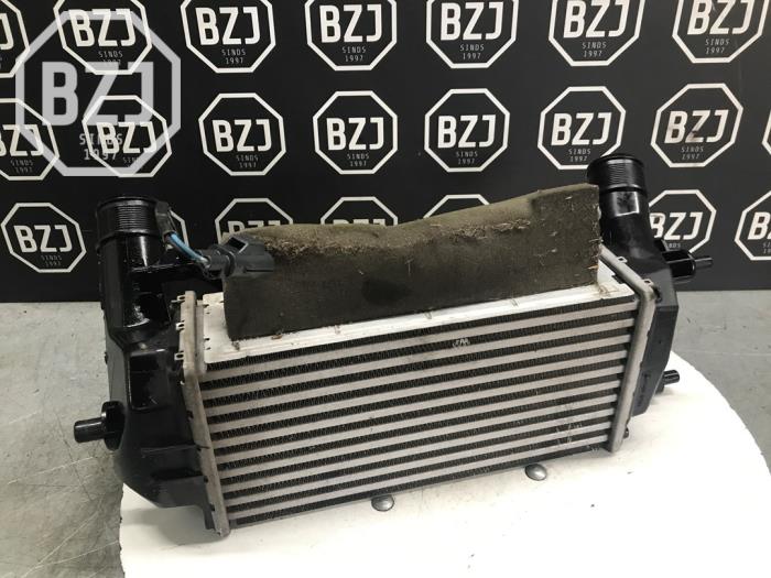 Intercooler d'un Ford EcoSport (JK8) 1.0 EcoBoost 12V 125 2018