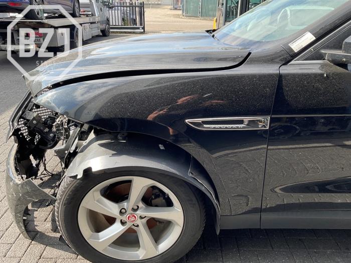 Używane Ekran lewy przód Jaguar F-Pace 2.0 Turbo 16V AWD Cena na żądanie oferowane przez BZJ b.v.