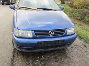 Used Grille Volkswagen Polo III (6N1) 1.4i 60 Price on request offered by Boekholt autodemontage B.V