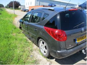 Used Rear door window 4-door, left Peugeot 207 SW (WE/WU) 1.6 HDi 16V Price on request offered by Boekholt autodemontage B.V