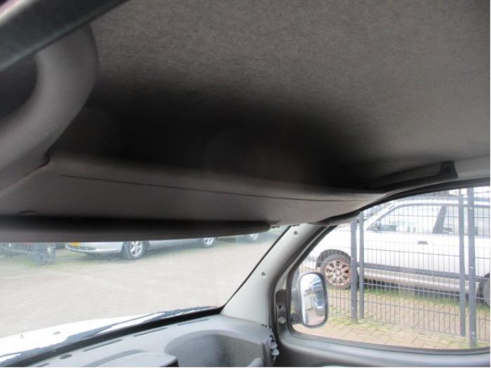 Overhead storage compartment from a Fiat Doblo Cargo (223) 1.3 D 16V Multijet 2007