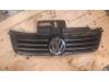 Grille from a Volkswagen Polo IV (9N1/2/3), 2001 / 2012 1.4 16V, Hatchback, Petrol, 1.390cc, 55kW (75pk), FWD, BBY, 2001-09 / 2007-05, 9N1; 2 2002