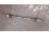 Front drive shaft, right from a Toyota Yaris II (P9), 2005 / 2014 1.3 16V VVT-i, Hatchback, Petrol, 1.298cc, 64kW (87pk), FWD, 2SZFE, 2005-08 / 2010-11, SCP90 2006