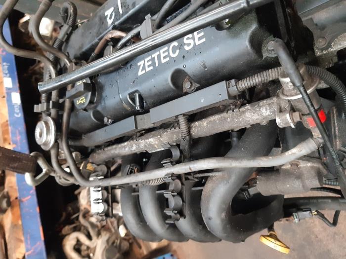 Usagé Système d'injection Ford Focus 1 Wagon 1.4 16V Prix € 15,00 Règlement à la marge proposé par Boekholt autodemontage B.V