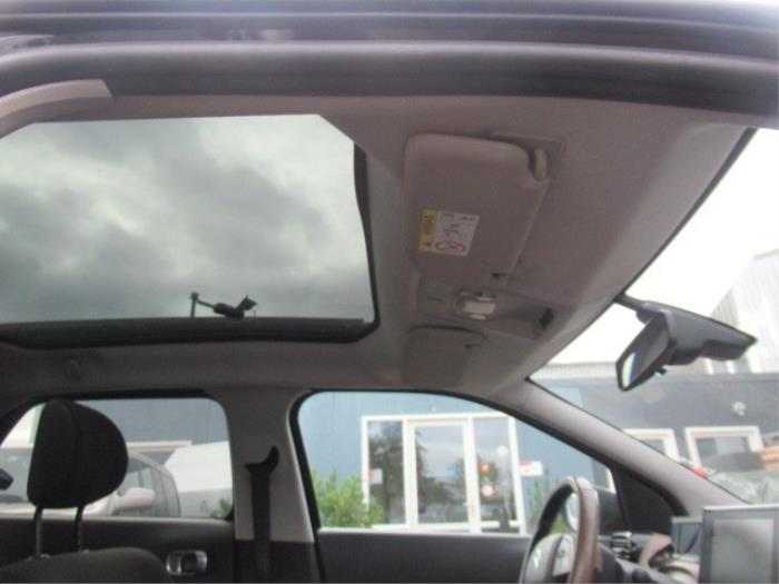 Panoramadach Citroen C4 Cactus 1.6 Blue Hdi 100 EXLB