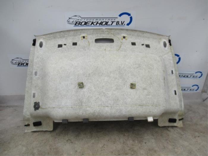 Headlining from a Ford Transit Connect (PJ2) 1.6 TDCi 16V 95 2016