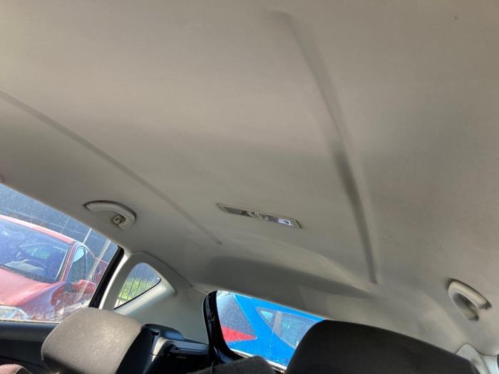 Używane Podsufitka Seat Altea (5P1) 2.0 TDI 16V Cena na żądanie oferowane przez Boekholt autodemontage B.V