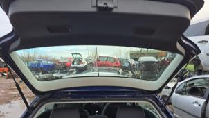 Usagé Joint caoutchouc hayon Volkswagen Polo IV (9N1/2/3) 1.2 Prix € 27,00 Règlement à la marge proposé par Boekholt autodemontage B.V