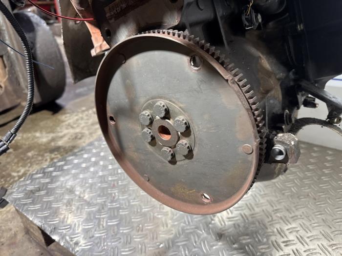 Used Flywheel Volkswagen Polo III (6N1) 1.6i 75 Price € 49,00 Margin scheme offered by Boekholt autodemontage B.V
