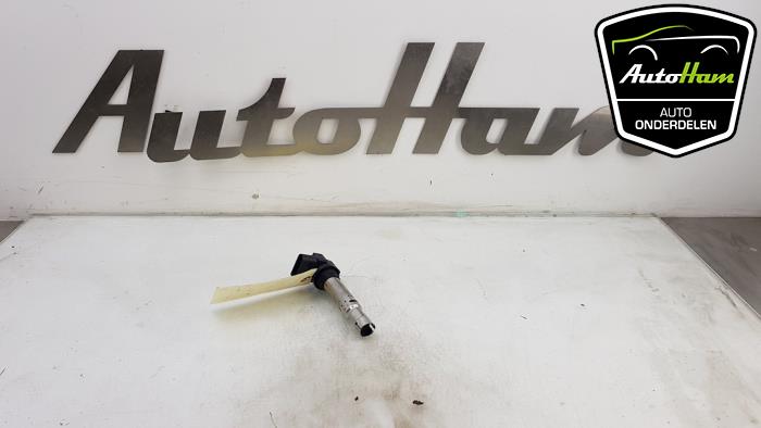 Gebrauchte Stift Zündspule Volkswagen Polo V (6R) 1.2 12V Preis € 10,00 Margenregelung angeboten von AutoHam
