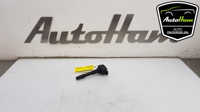Gebrauchte Stift Zündspule Dacia Sandero III 0.9 TCE 12V Preis € 10,00 Margenregelung angeboten von AutoHam