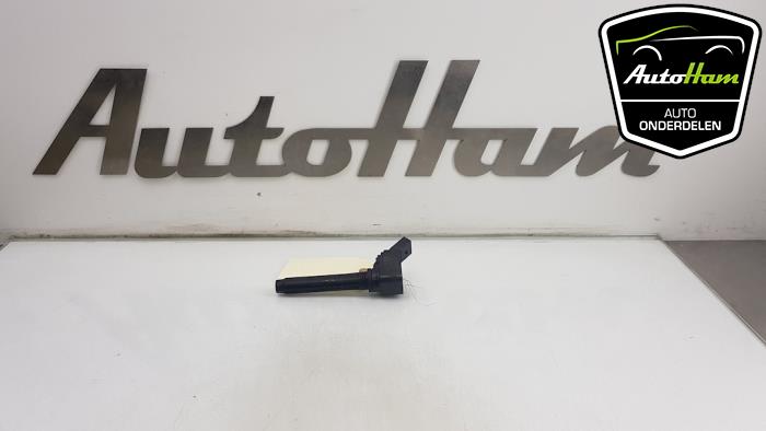 Gebrauchte Stift Zündspule Volkswagen Polo V (6R) 1.8 GTI 16V Preis € 10,00 Margenregelung angeboten von AutoHam