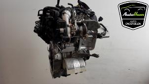Used Motor Volkswagen Polo VI (AW1) 1.0 TSI 12V Price € 1.300,00 Margin scheme offered by AutoHam