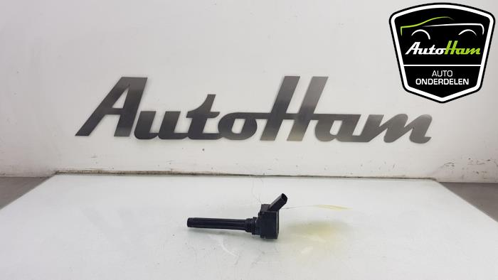 Gebrauchte Stift Zündspule Seat Leon (5FB) 2.0 TSI FR 16V Preis € 10,00 Margenregelung angeboten von AutoHam