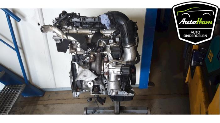 Motor from a Audi A5 Sportback (F5A/F5F) 2.0 T MHEV 16V 2018
