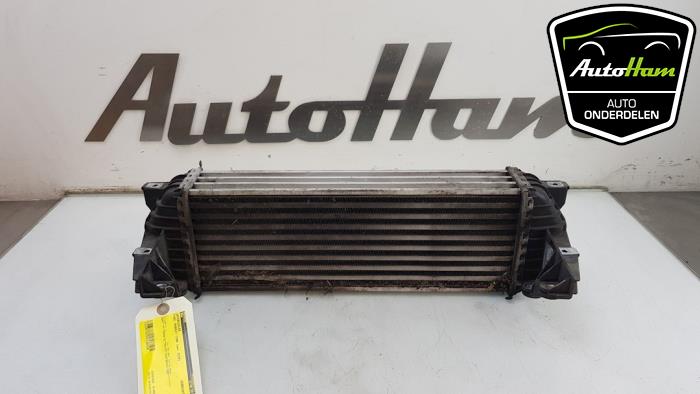 Usagé Intercooler Ford Transit Connect 1.8 TDCi 90 Prix € 25,00 Règlement à la marge proposé par AutoHam