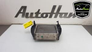 Gebrauchte Ladeluftkühler Audi A4 Cabrio (B7) 2.0 TFSI 20V Preis € 50,00 Margenregelung angeboten von AutoHam