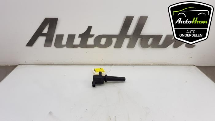 Gebrauchte Stift Zündspule Ford C-Max (DM2) 1.8 16V Flexifuel Preis € 15,00 Margenregelung angeboten von AutoHam