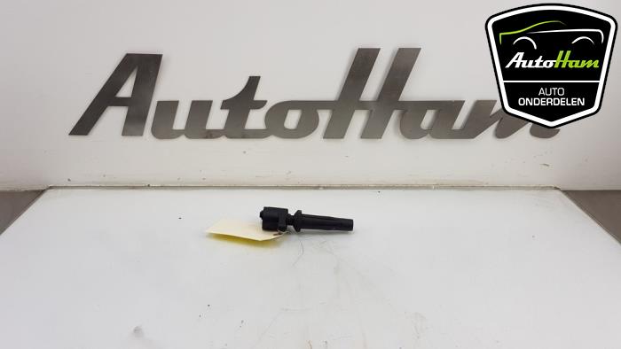 Gebrauchte Stift Zündspule Ford C-Max (DM2) 1.8 16V Flexifuel Preis € 15,00 Margenregelung angeboten von AutoHam