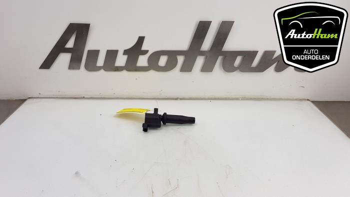 Gebrauchte Stift Zündspule Ford C-Max (DM2) 1.8 16V Flexifuel Preis € 15,00 Margenregelung angeboten von AutoHam