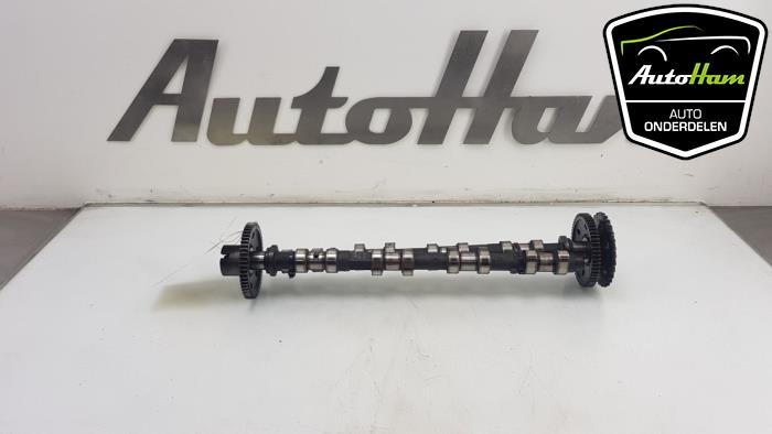 Gebrauchte Nockenwelle Set BMW 5 serie (E60) 520d 16V Corporate Lease Preis auf Anfrage angeboten von AutoHam