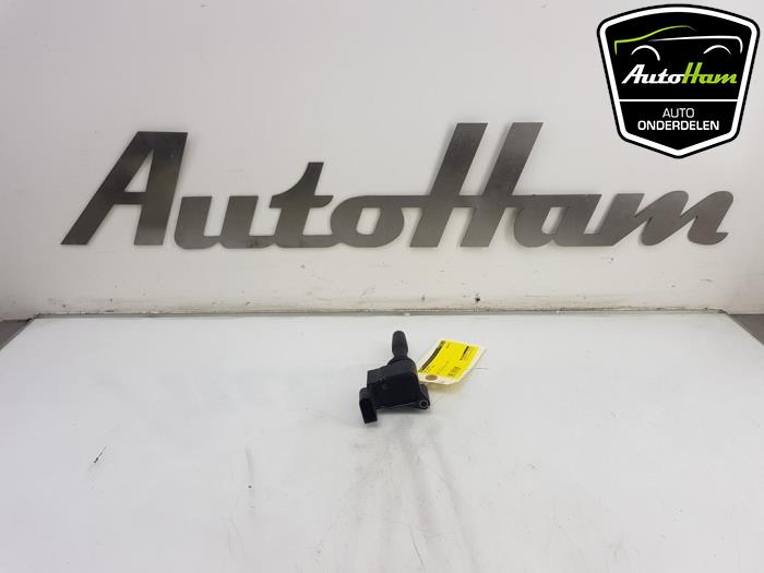 Gebrauchte Stift Zündspule Volkswagen Golf VII (AUA) 1.5 TSI Evo BMT 16V Preis € 10,00 Margenregelung angeboten von AutoHam