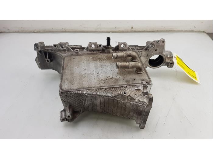 Intake manifold Volkswagen Tiguan 2.0 TDI 16V BlueMotion Techn.SCR