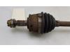 Front drive shaft, right from a Fiat Panda (169) 1.2 Fire 2004