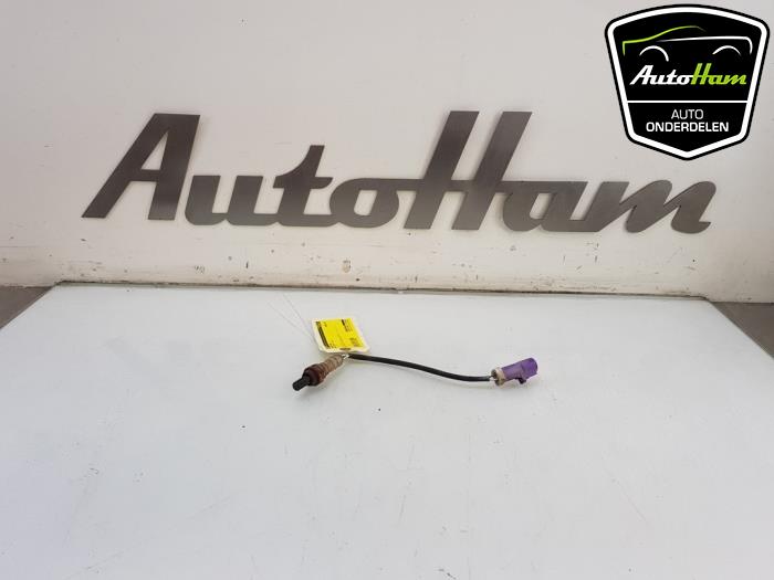 Usados Sonda Lambda Ford Fiesta 6 (JA8) 1.25 16V Precio € 15,00 Norma de margen ofrecido por AutoHam
