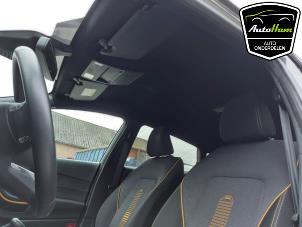 Gebrauchte Dachverkleidung Ford Fiesta 7 1.0 EcoBoost 12V 100 Preis € 300,00 Margenregelung angeboten von AutoHam